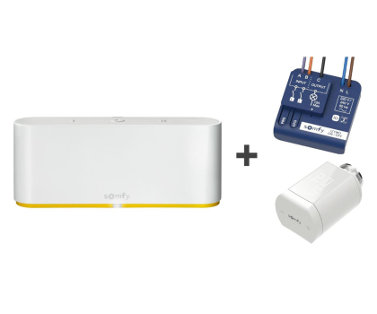 Zestaw Smart Home Somfy Zestaw do sterowania - Tahoma Switch + Głowica + Odbornik